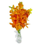 Simple Grace - FWR - Arabian Petals (2090938531898)