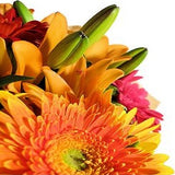 Fun Bright Bouquet - FWR - Arabian Petals (2096526884922)