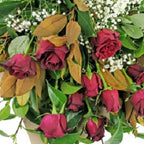 What The Heart Wants - FWR - Arabian Petals (2108930785338)