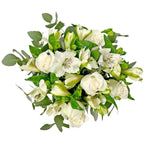 Moondrop (6837520335012)