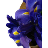 Iris flowers (6813428121764)