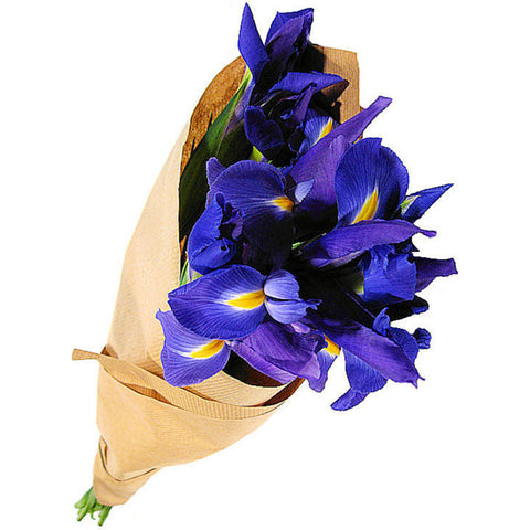 Iris flowers Bouquet (6813428121764)