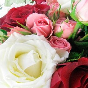 Dance With Me - FWR - Arabian Petals (2105977372730)