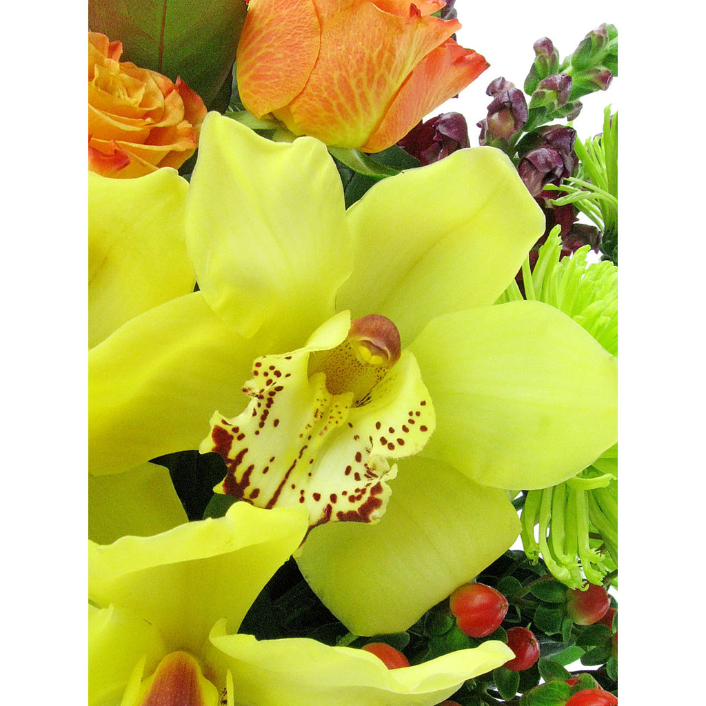 Autumn's Rich Pageant - Arabian Petals (2443970412602)