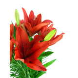 Lilies in a Vase - Arabian Petals (4898861842477)