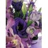 Purple Haze - FWR - Arabian Petals (2092947046458)