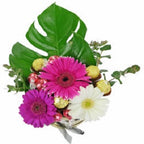 True Delight - FWR - Arabian Petals (2096521183290)