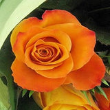 Orange Roses - FWR - Arabian Petals (2105672925242)