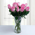 Mesmerizing Beauty - VD - Arabian Petals (1638659850298)