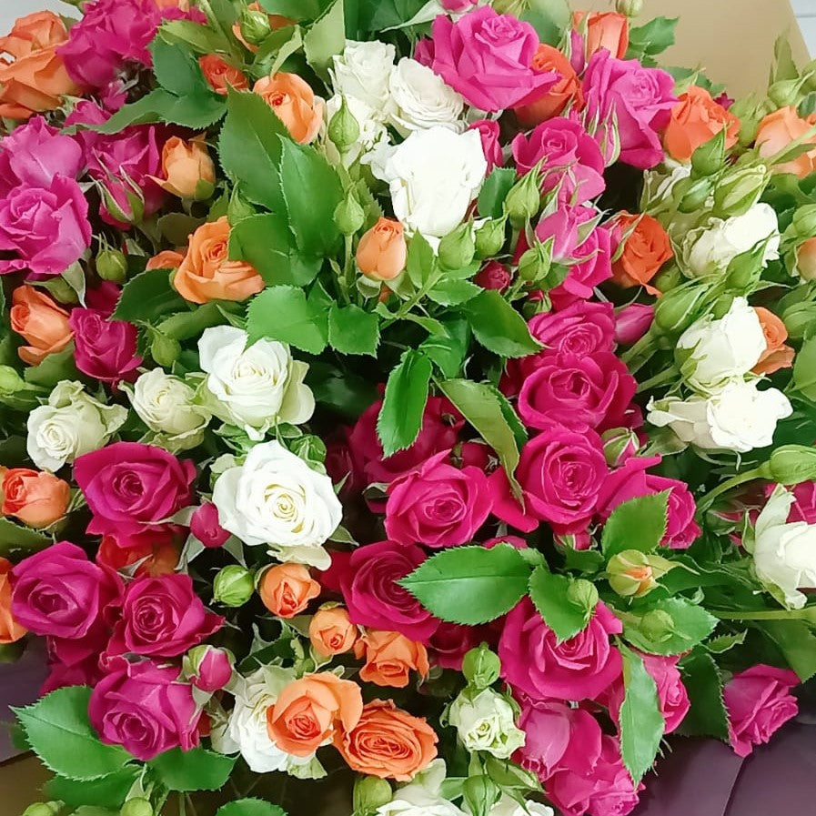 Spray Roses Mix Mix Spray Roses Arrangement
