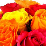 Mixed Bright Rose Bowl - FWR - Arabian Petals (2108909584442)