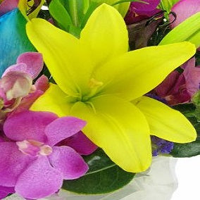 Carnival Of Colour - FWR - Arabian Petals (2108405055546)