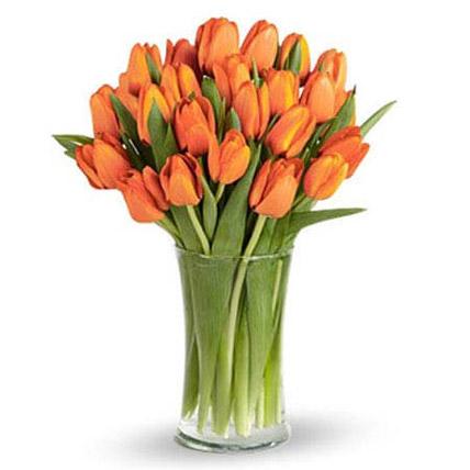 Orange Tulip Collection - FWR - Arabian Petals (1829927747642)