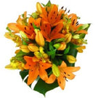 Paradise - FWR - Arabian Petals (2093497385018)