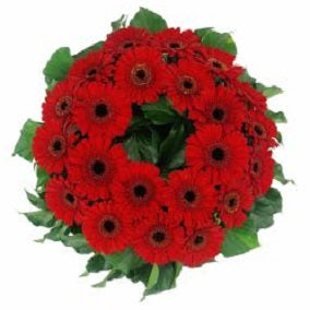 Daisy Chain Wreath - FWR - Arabian Petals (2096543301690)