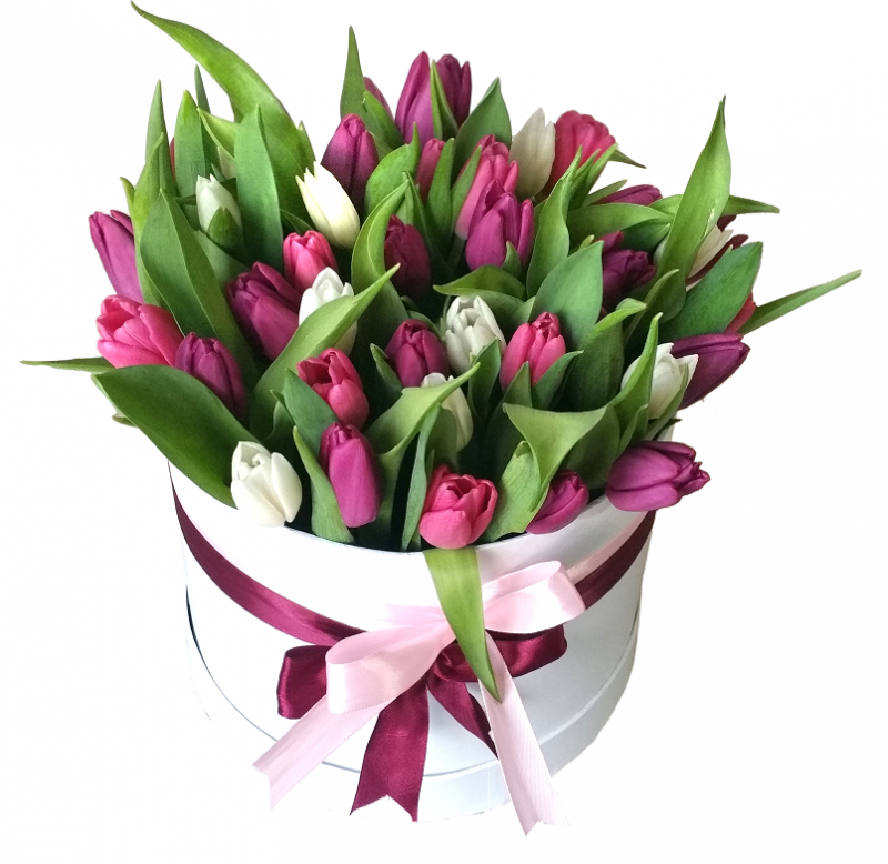 40 Tulips in white box (6578890735780)