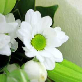 Eye Of The Beholder - FWR - Arabian Petals (2105969508410)