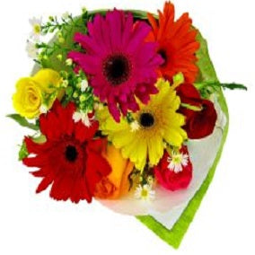 With Glee - FWR - Arabian Petals (2096518529082)