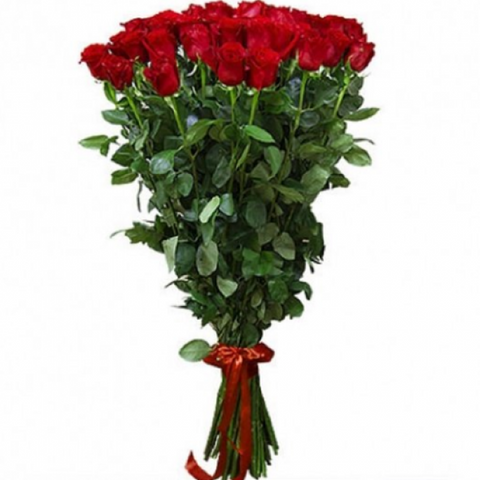 Long Stems Beautiful Red Roses (5839974596772)