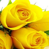 Yellow Roses - FWR - Arabian Petals (2105631047738)