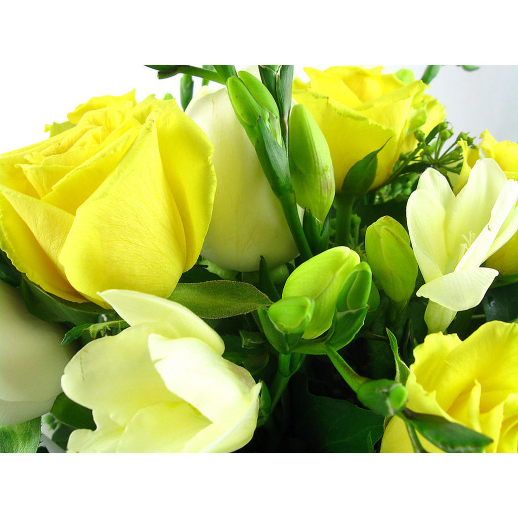 Roses and Freesias boxed - Arabian Petals (2522234093626)