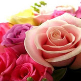 Rose Bowl - FWR - Arabian Petals (2108914794554)