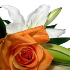 Roses and Oriental Lilies - FWR - Arabian Petals (2108402729018)