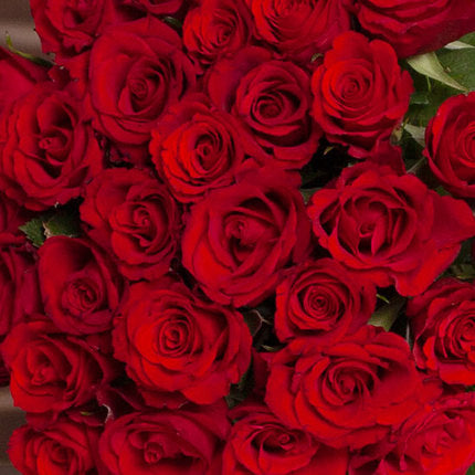 31 Red Roses Vase (Rouge Baiser)