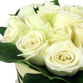 So Fancy - FWR - Arabian Petals (2108948447290)