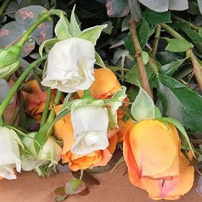 Love So Wild - FWR - Arabian Petals (2105616990266)