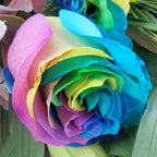 Whimsical - FWR - Arabian Petals (2108400369722)