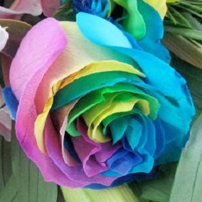 Whimsical - FWR - Arabian Petals (2108400369722)