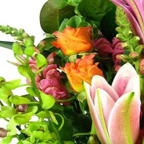 Tranquility - FWR - Arabian Petals (2093509640250)