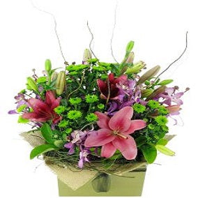 Botanique - FWR - Arabian Petals (2093148012602)