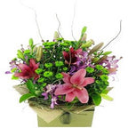 Botanique - FWR - Arabian Petals (2093148012602)