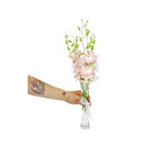 Simple Grace - FWR - Arabian Petals (2090938531898)