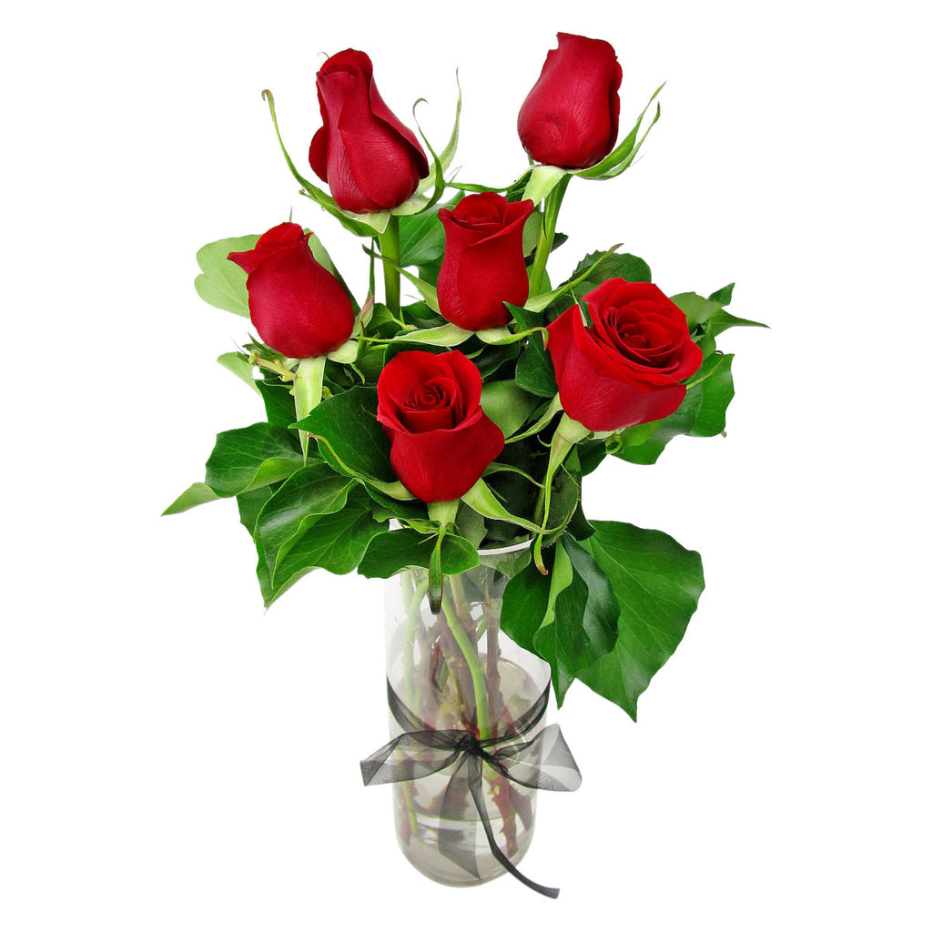 6 Red Rose Vase - VD