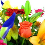 Vivacious - FWR - Arabian Petals (2096548577338)