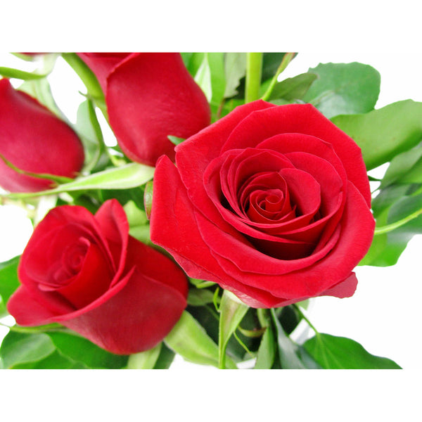 6 Red Rose Vase - VD