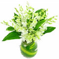Marvel At Me - FWR - Arabian Petals (2093199130682)