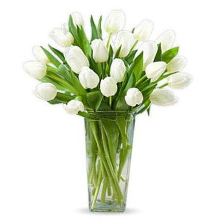 White Tulips - FWR - Arabian Petals (1822553473082)