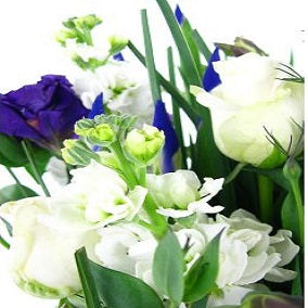 Wild At Heart - FWR - Arabian Petals (2108941631546)