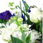 Wild At Heart - FWR - Arabian Petals (2108941631546)