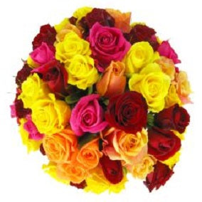 Mixed Bright Rose Bowl - FWR - Arabian Petals (2108909584442)