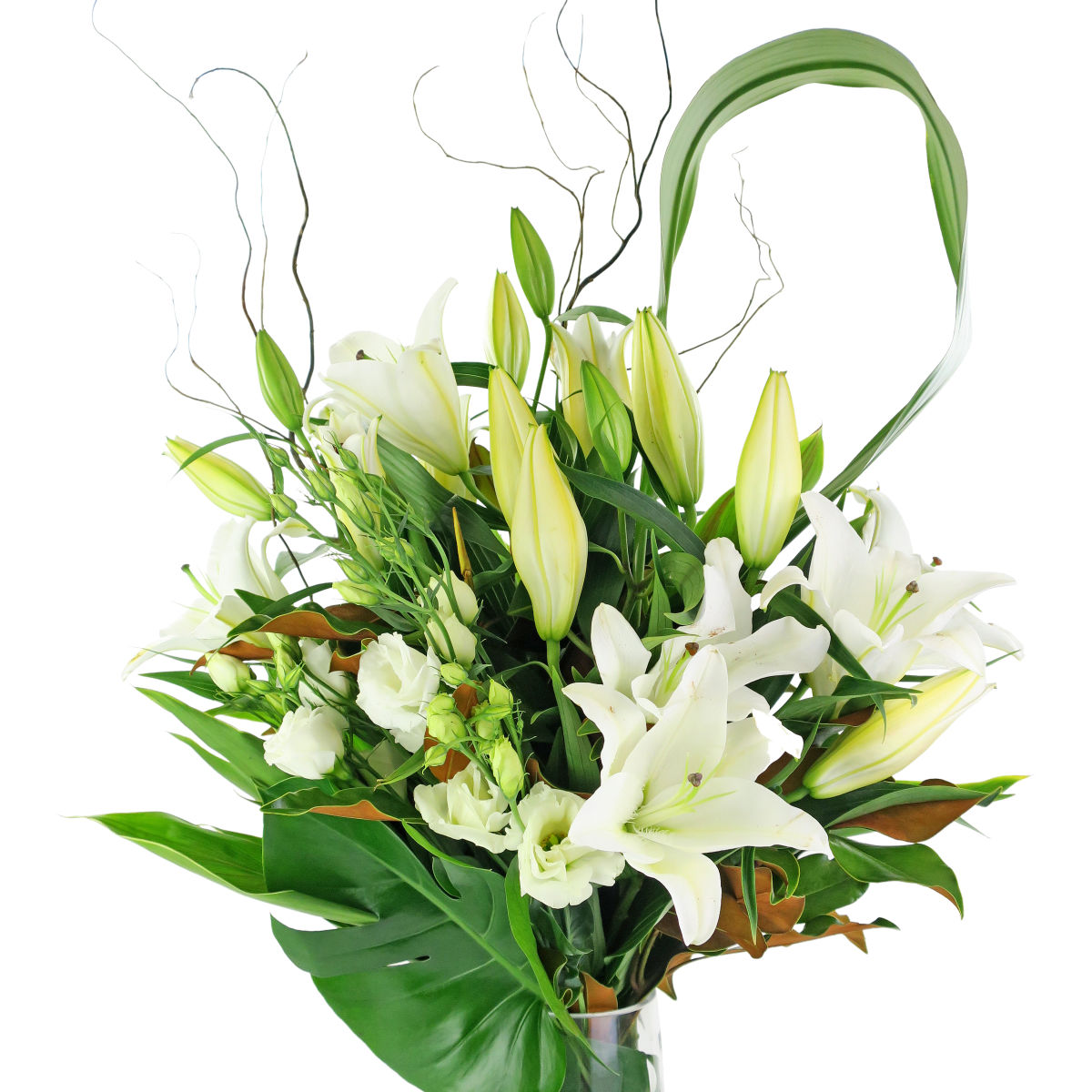 So Becoming (5920118374564)