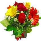 Levity - FWR - Arabian Petals (2096512499770)