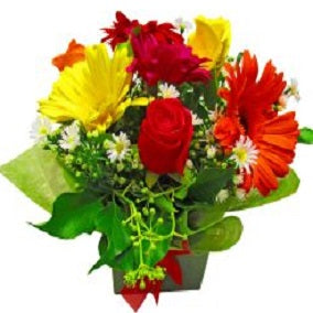 Levity - FWR - Arabian Petals (2096512499770)