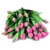 Pink Tulip Bunch - FWR - Arabian Petals (2089162276922)
