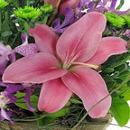 Botanique - FWR - Arabian Petals (2093148012602)