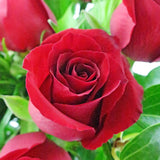 12 Rose Vase with  GODIVA Heart Chocolate Gift Box - Arabian Petals (4534874112045)